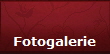 Fotogalerie